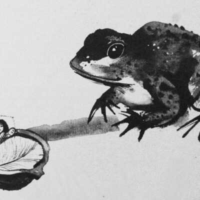 Däumelinchen (Illustration von Janusz Grabianski)