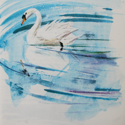 Das hässliche junge Entlein (Illustration von Janusz Grabianski)