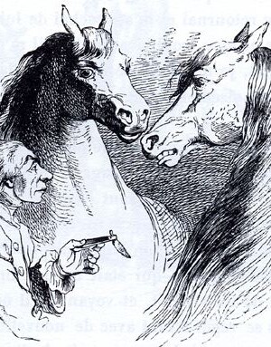 Gulliver beschenkt zwei Houyhnhnms mit einem Taschenmesser. Illustration von Grandville, 1838.