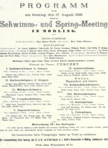 Programm eines Schwimm- und Spring-Meetings 1893.