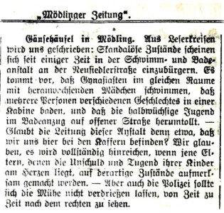 Artikel über das Schwarz-Bad vom 5. August 1917.