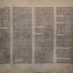 Thorarolle, Pergament, Teilstücke